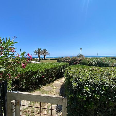 Les Pieds Dans L'Eau Apartment Canet-en-Roussillon Luaran gambar